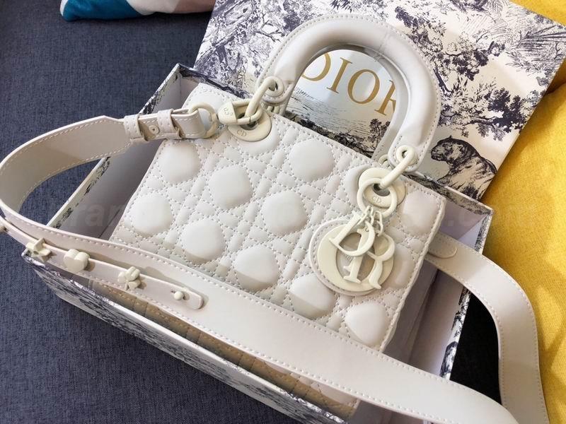 DIOR Handbags 81